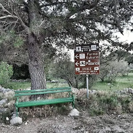 Breaking The Waves Art House