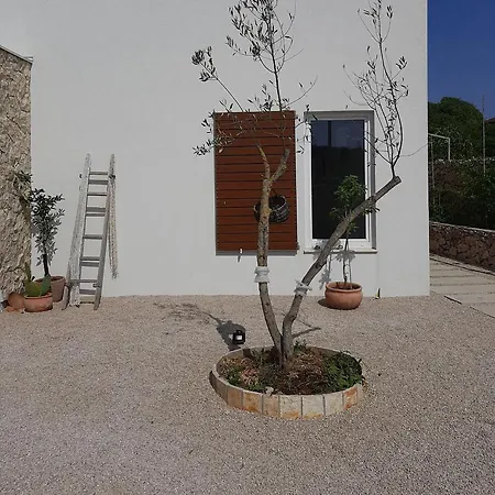 Breaking The Waves Art House *