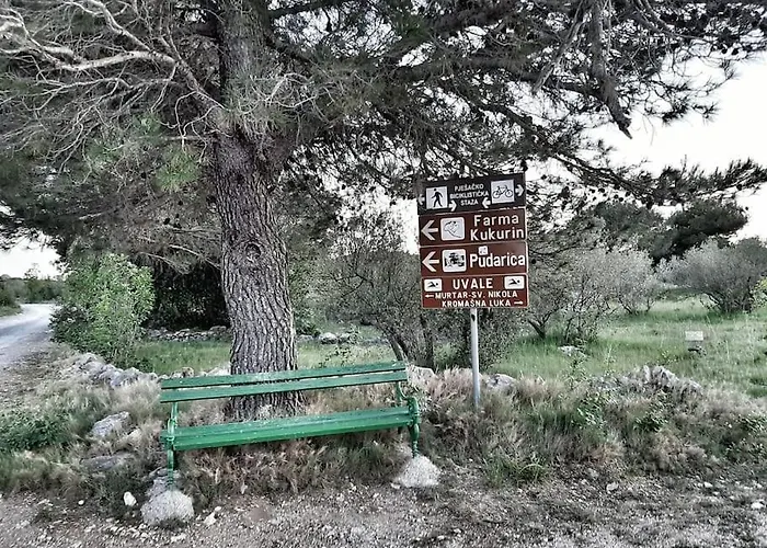 Breaking The Waves Art House